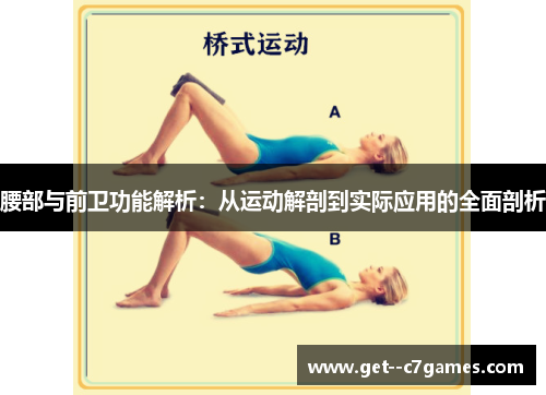 腰部与前卫功能解析：从运动解剖到实际应用的全面剖析